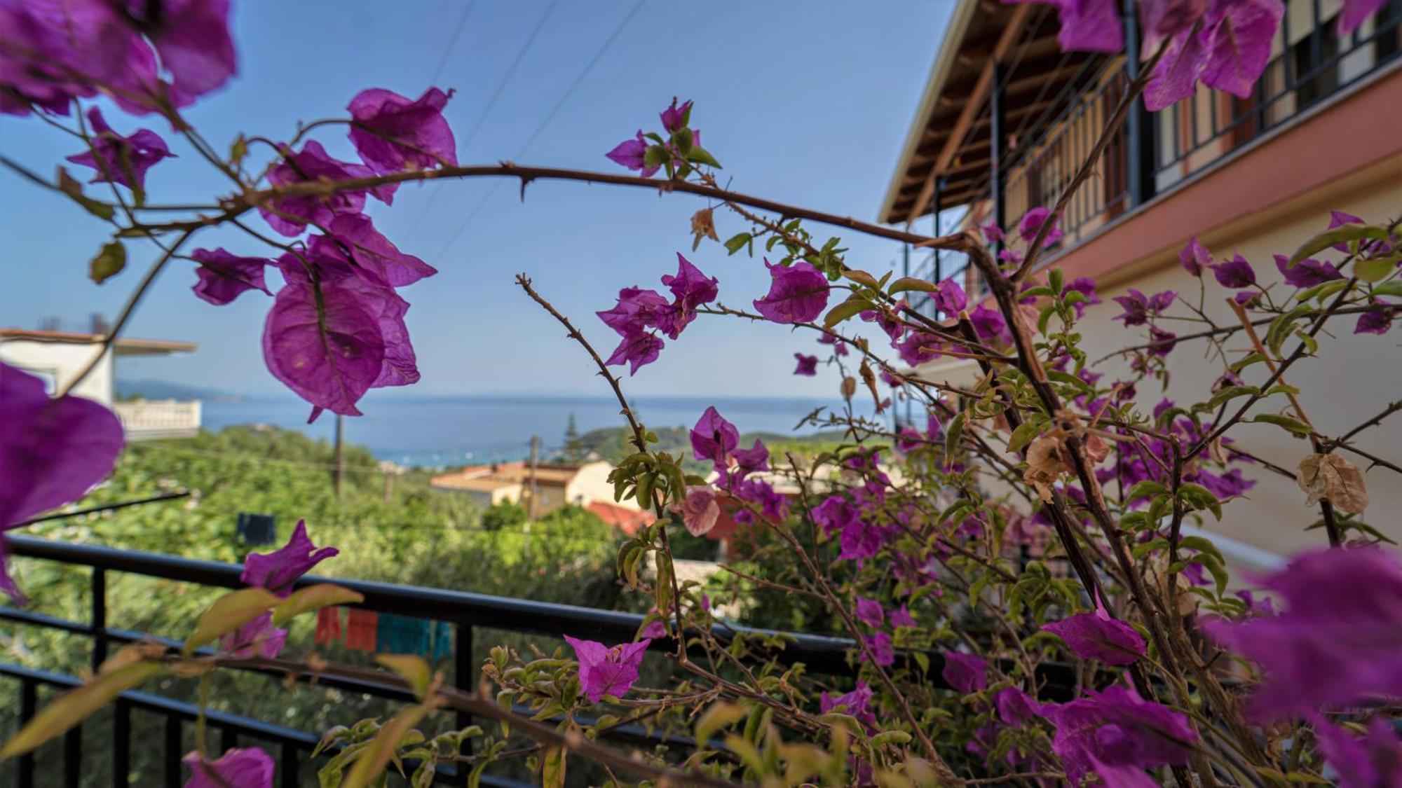 Studios Ristas 2 Parga Exteriér fotografie